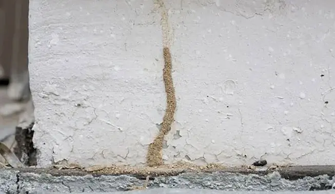 termite treatment surprise arizona